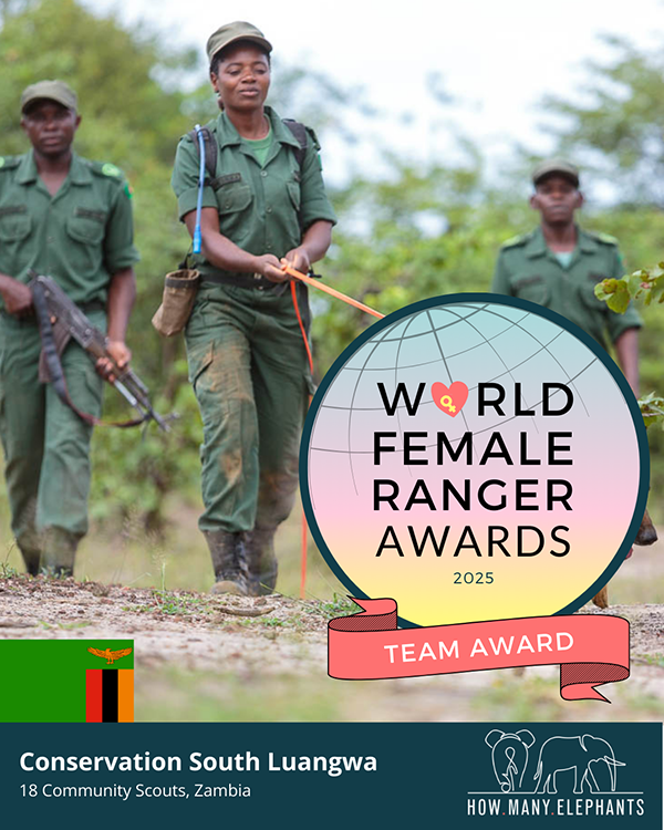 World Female Ranger Team Award: Conservation South Luangwa (Zambia)